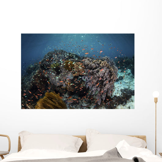 Reef Fish Swimming Distant Wall Decal