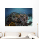 Reef Fish Swimming Distant Wall Decal