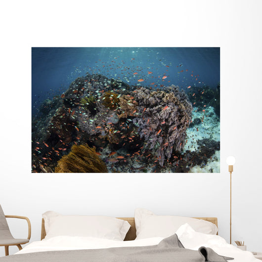 Reef Fish Swimming Distant Wall Decal