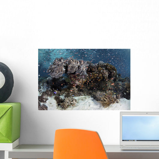 Reef Fish Swimming Seafloor Wall Decal