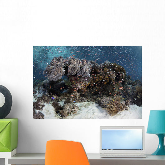 Reef Fish Swimming Seafloor Wall Decal