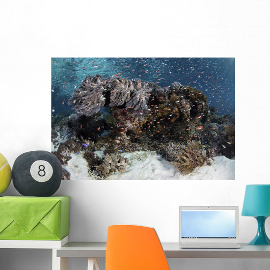 Reef Fish Swimming Seafloor Wall Decal