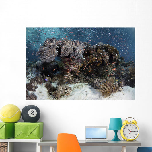 Reef Fish Swimming Seafloor Wall Decal