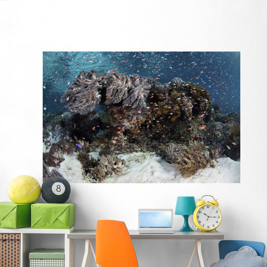 Reef Fish Swimming Seafloor Wall Decal