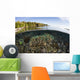 Beautiful Coral Reef Thrives Surface Wall Decal