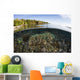 Beautiful Coral Reef Thrives Surface Wall Decal