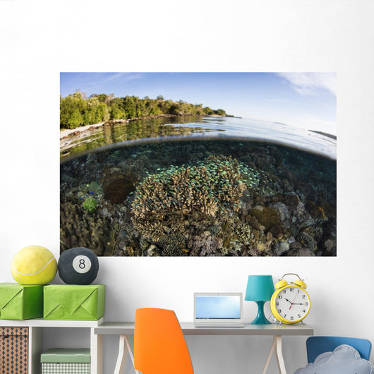 Beautiful Coral Reef Thrives Surface Wall Decal