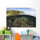 Beautiful Coral Reef Thrives Surface Wall Decal