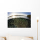 Blue-green Damselfish Schooling Surface Wall Decal