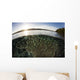 Blue-green Damselfish Schooling Surface Wall Decal