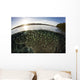 Blue-green Damselfish Schooling Surface Wall Decal