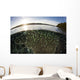 Blue-green Damselfish Schooling Surface Wall Decal