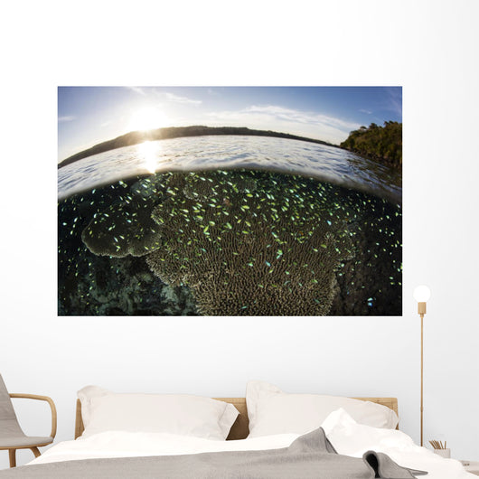 Blue-green Damselfish Schooling Surface Wall Decal