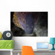 Yellow Margin Moray Eel Wall Decal