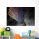 Yellow Margin Moray Eel Wall Decal