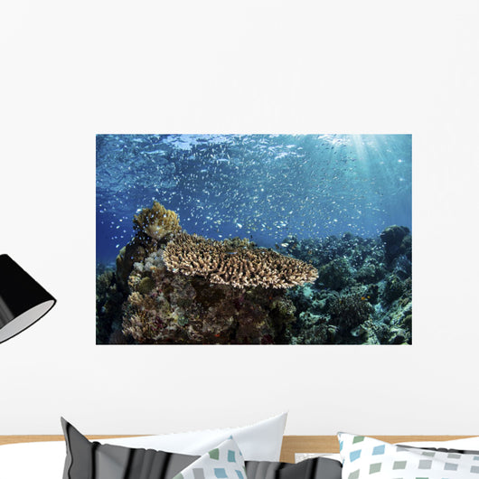 Colorful Blue-green Damselfish Swimming Landscape Wall Decal