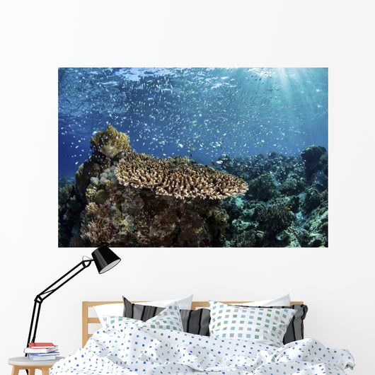 Colorful Blue-green Damselfish Swimming Landscape Wall Decal