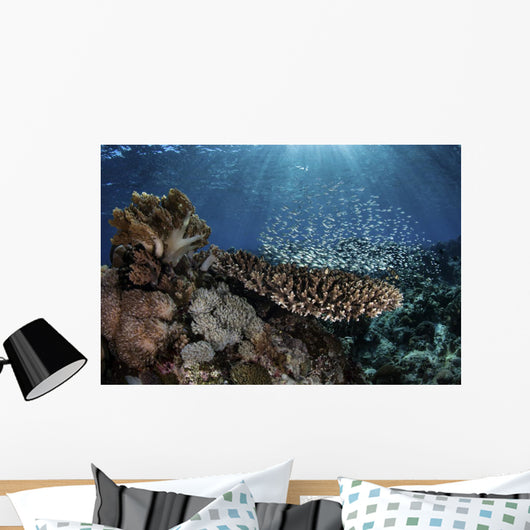 Colorful Blue-green Damselfish Swimming Wall Decal