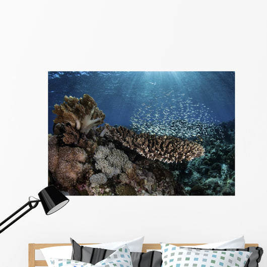 Colorful Blue-green Damselfish Swimming Wall Decal