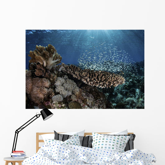 Colorful Blue-green Damselfish Swimming Wall Decal