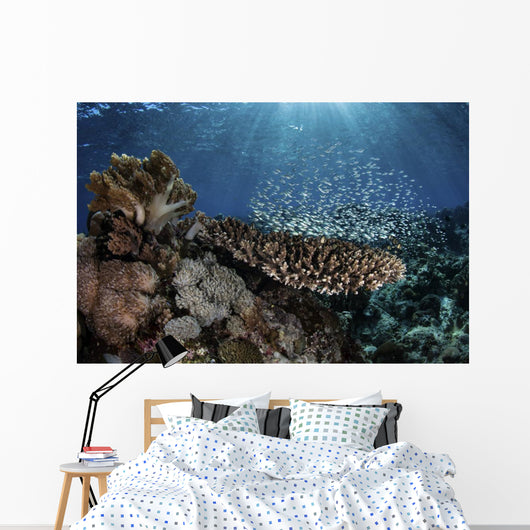 Colorful Blue-green Damselfish Swimming Wall Decal