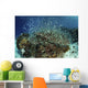 Blue-green Damselfish Schooling above Wall Decal
