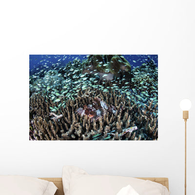 Blue-green Damselfish School around Wall Decal shown on a wall