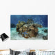 Beautiful Coral Reef Thrives Underwater Wall Decal