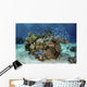 Beautiful Coral Reef Thrives Underwater Wall Decal