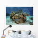 Beautiful Coral Reef Thrives Underwater Wall Decal