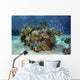 Beautiful Coral Reef Thrives Underwater Wall Decal