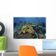 Beautiful and Healthy Coral Landscape Wall Decal