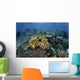 Beautiful and Healthy Coral Landscape Wall Decal