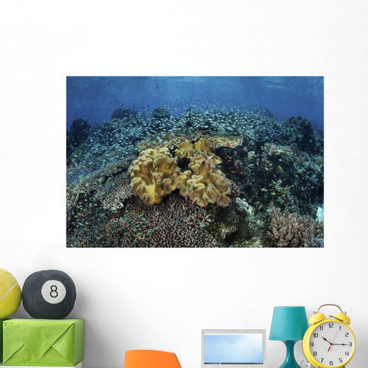 Beautiful and Healthy Coral Landscape Wall Decal