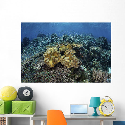 Beautiful and Healthy Coral Landscape Wall Decal