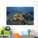Beautiful and Healthy Coral Landscape Wall Decal