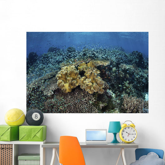 Beautiful and Healthy Coral Landscape Wall Decal
