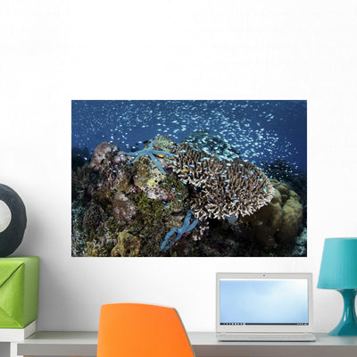 Beautiful and Healthy Coral Schooling Fish Wall Decal shown on a wall
