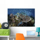 Beautiful and Healthy Coral Schooling Fish Wall Decal