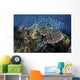 Beautiful and Healthy Coral Schooling Fish Wall Decal