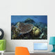 Snorkeler Swims above Beautiful Wall Decal