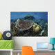 Snorkeler Swims above Beautiful Wall Decal