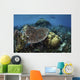 Snorkeler Swims above Beautiful Wall Decal