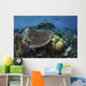 Snorkeler Swims above Beautiful Wall Decal