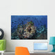 Beautiful and Vibrant Coral Wall Decal