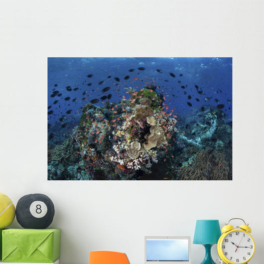 Beautiful and Vibrant Coral Wall Decal