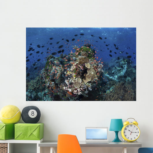 Beautiful and Vibrant Coral Wall Decal