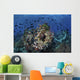 Beautiful and Vibrant Coral Wall Decal