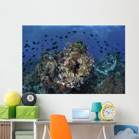 Beautiful and Vibrant Coral Wall Decal