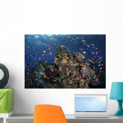 Reef Fish Swimming Upward Angle Wall Decal shown on a wall